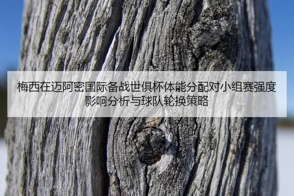 mei-xi-zai-mai-a-mi-guo-ji-bei-zhan-shi-ju-bei-ti-neng-fen-pei-dui-xiao-zu-sai-qiang-du-ying-xiang-fen-xi-yu-qiu-dui-1-134.jpg